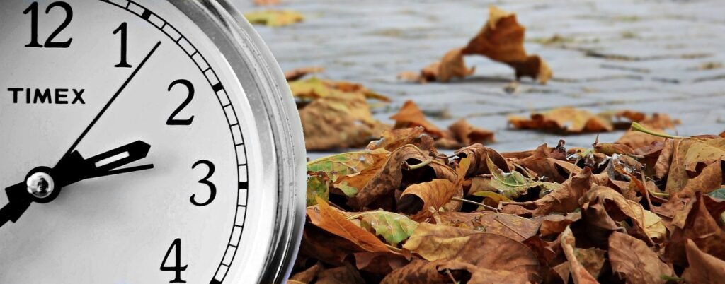 autumn, season, time, clock, concept, time, clock, clock, clock, clock, clock