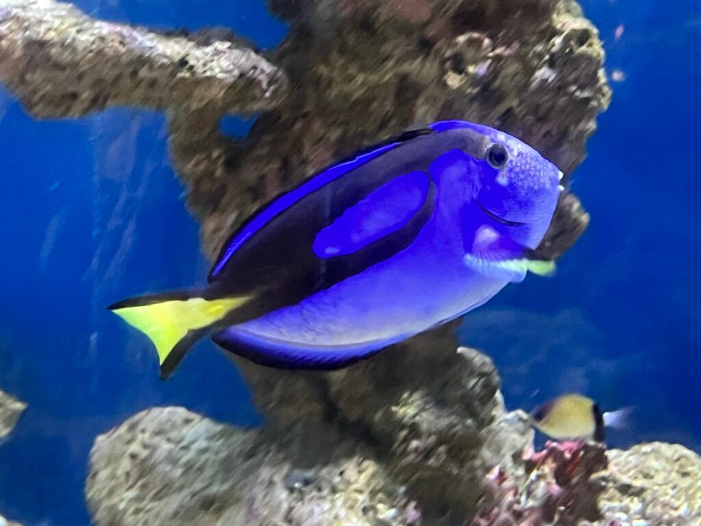 Un paseo inolvidable por el Acuario de Quebec